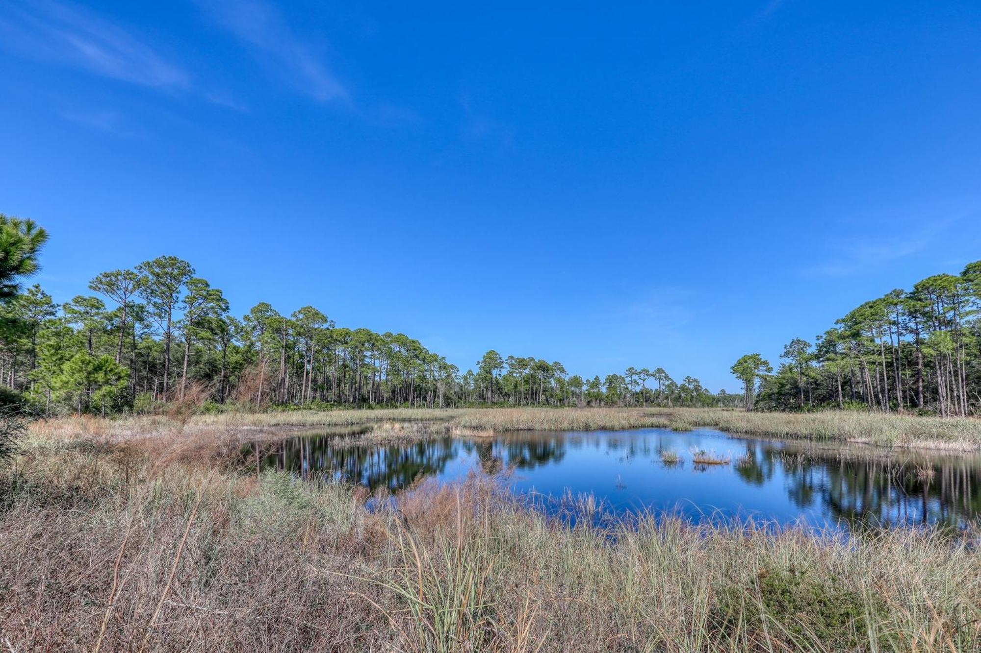 Village Of South Walton B247 Inlet Beach المظهر الخارجي الصورة