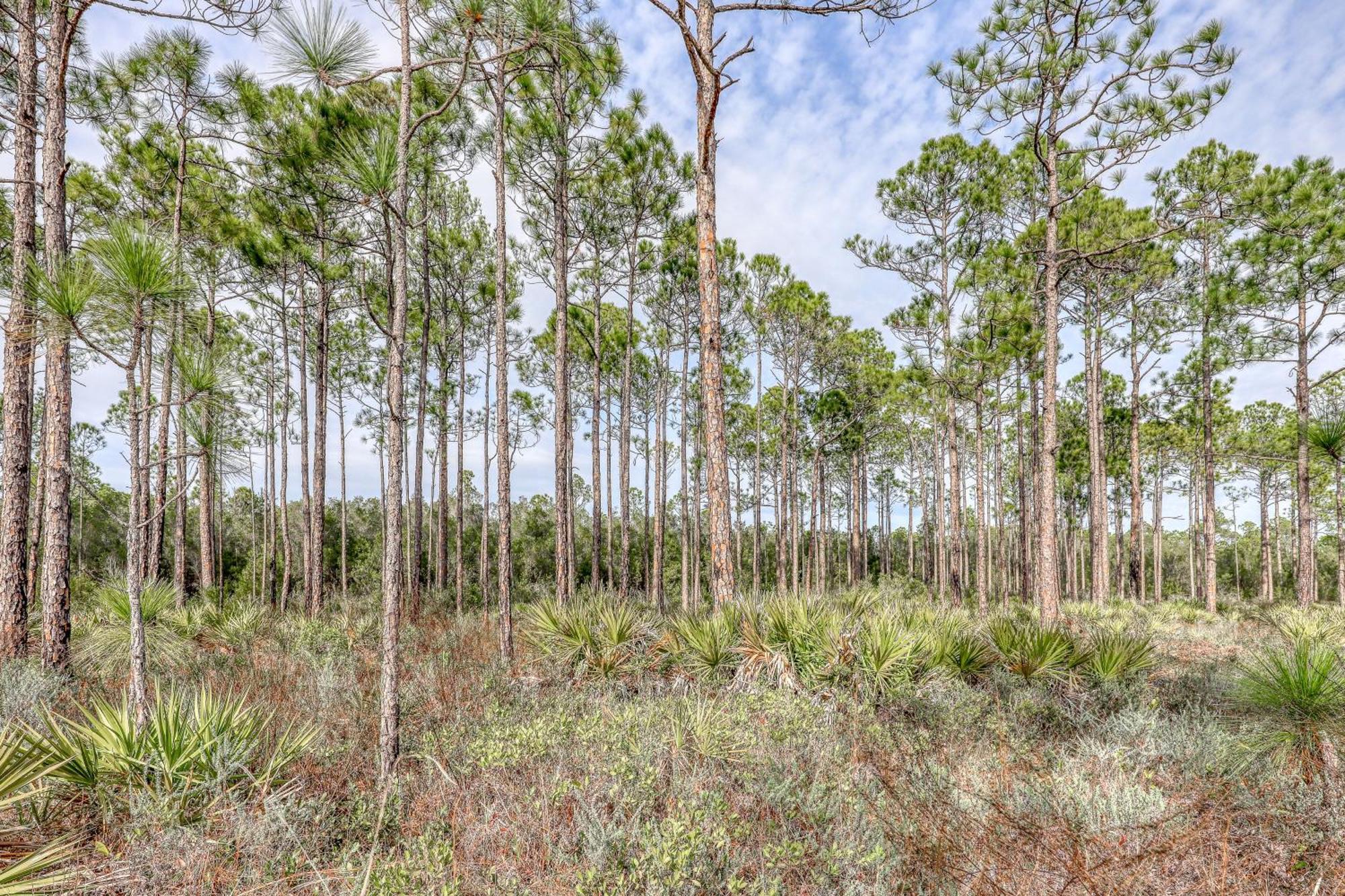 Village Of South Walton B247 Inlet Beach المظهر الخارجي الصورة
